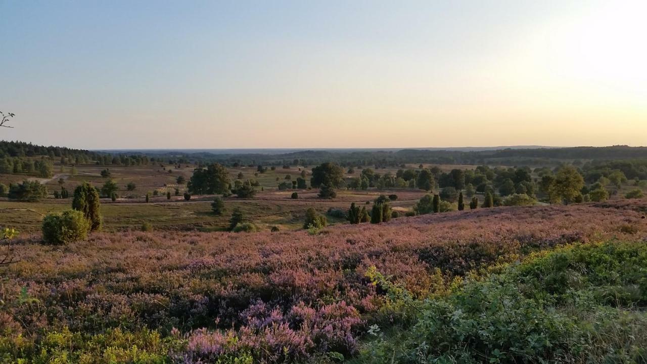Ferienwohnung Parkblick Soltau Zewnętrze zdjęcie